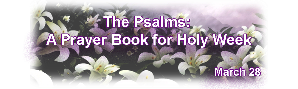 Lenten Reflection
